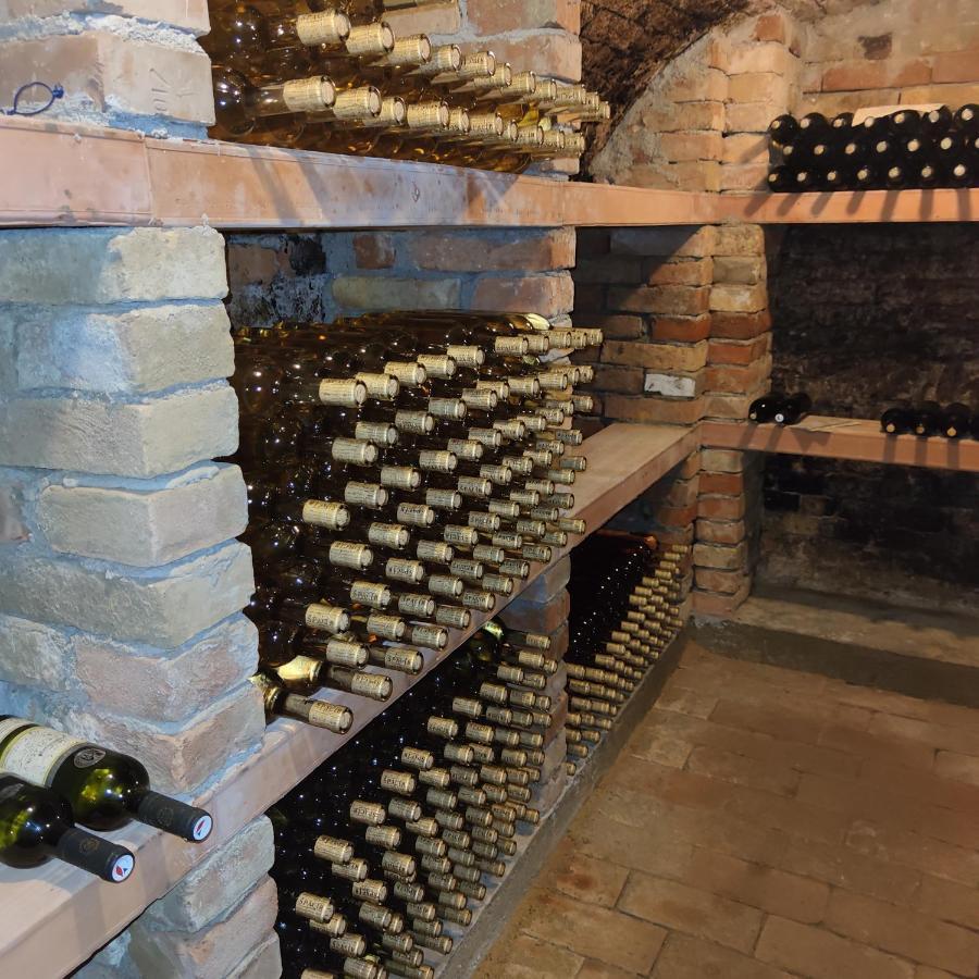 Apartman Cabernet Velké Pavlovice 外观 照片