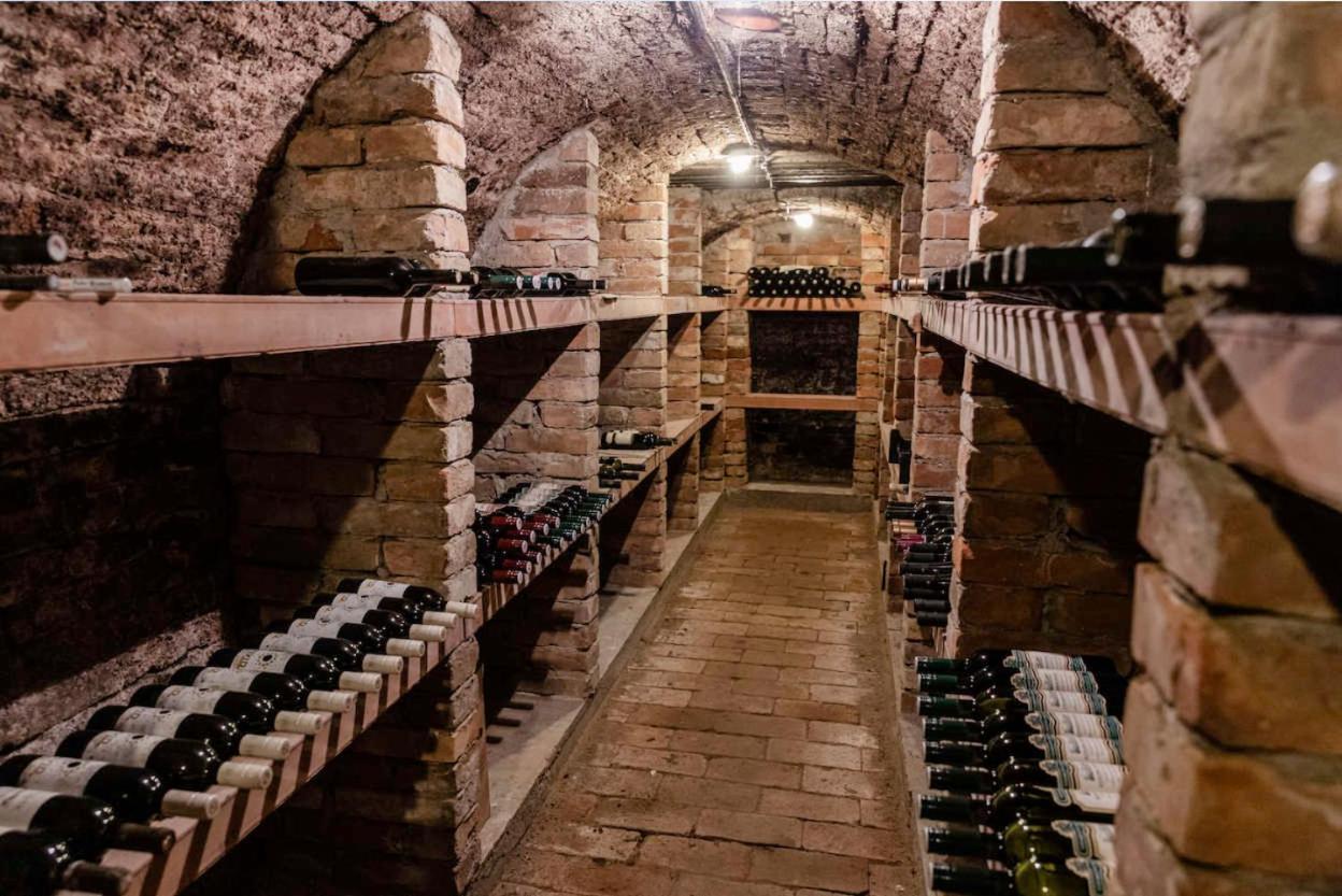 Apartman Cabernet Velké Pavlovice 外观 照片