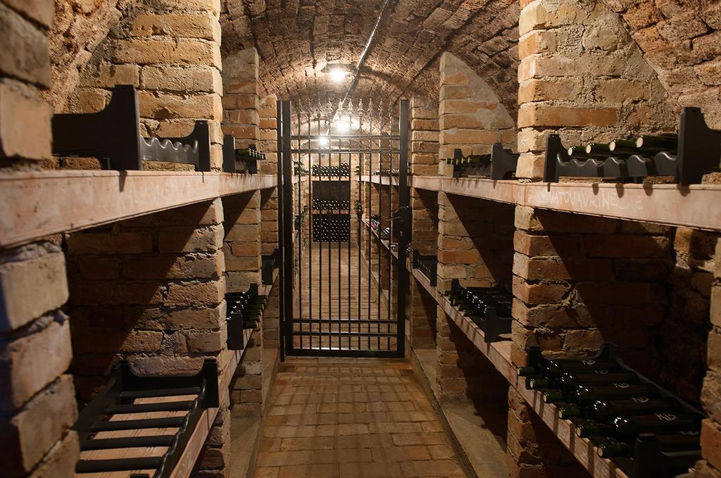 Apartman Cabernet Velké Pavlovice 客房 照片